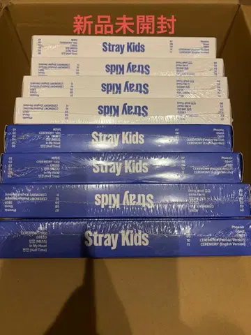 미개봉 새상품 Stray Kids 스키즈 KARMA 8장