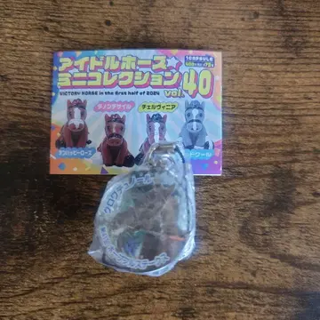 크루아 뒤 노르 호프풀 S 아이돌 호스 미니 컬렉션 vol.41