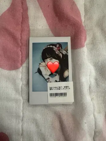 큐루링 해봐 아마미 아므 폴라로이드