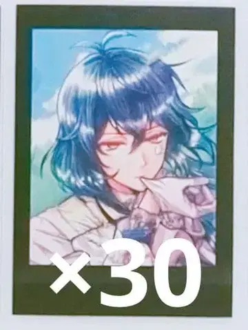 [악마고양이] 바스틴 파샤코레 30점