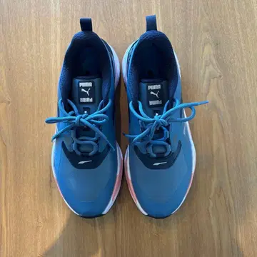 PUMA 골프화 여성용 블루