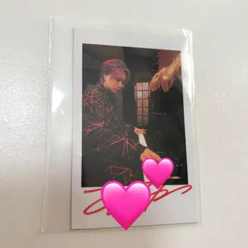 아라키 폴라로이드풍 컬렉션 사인 포함 사후 통신 판매