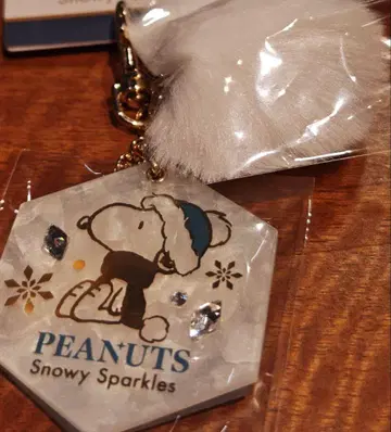 USJ 스누피 2025 크리스마스 거울 키체인