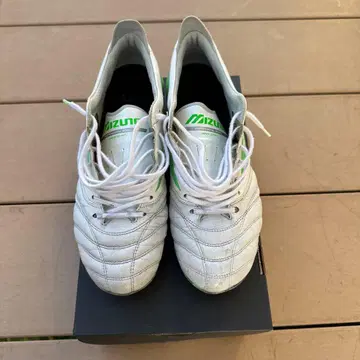 모렐리아 네오 4 한정 컬러