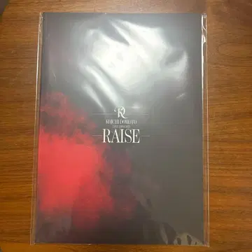 KOICHI DOMOTO LIVE [ RAISE ] 팜플렛
