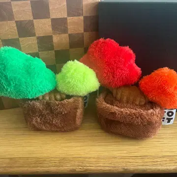 TOFT 분재 2종 토프트