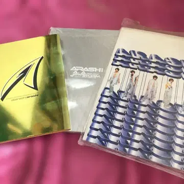 아라시 초기 팜플렛