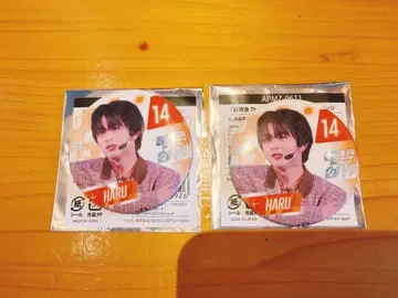 초특급 the movie RE:VE 캔뱃지 하루