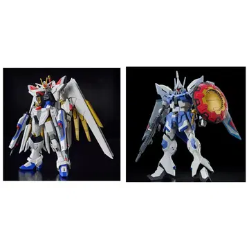 건담 프라모델 HG 마이티 스트라이크 프리덤 & 걍 슈트롬 2체 세트