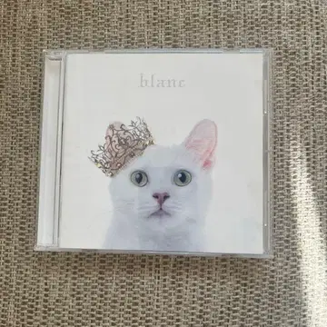 Aimer blanc CD 결혼식 BGM 등