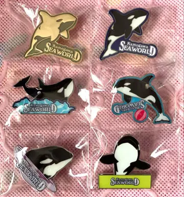 레어 카모가와 씨월드 랜덤 핀 배지 범고래 골드 컴플리트