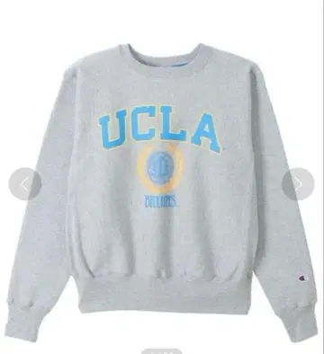 트레이닝복 그레이