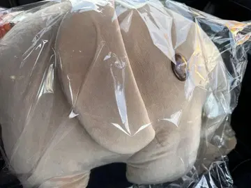 미피 다이토 복권 A상 특대 사이즈 봉제 인형 코끼리