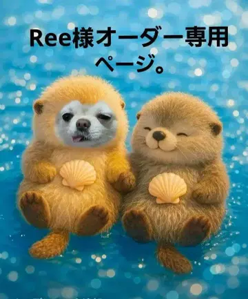 소용돌이, 다이아몬드형 베레모.