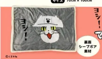 일하는 고양이 담요 쿠마미네 현장 고양이 전화 고양이