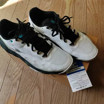 미즈노 올 코트용 웨이브 엔포스 코트 WIDE AC 27.0cm