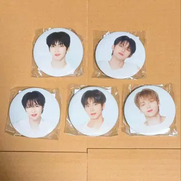 TXT 캔뱃지 캡슐 토이 가챠 수빈 영준 범규 태현