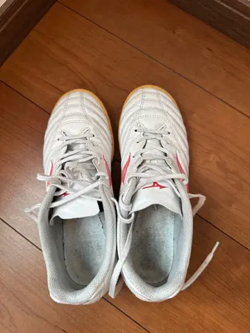 미즈노 모나르시다 네오 24.5