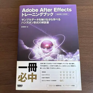 Adobe After Effects 트레이닝 북