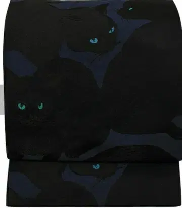 고양이 오비 검은 고양이