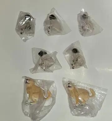 팔불출 강아지 피규어 7체 세트