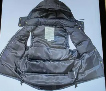 두지엠 클라세 별주 슈탄바움 다운 베스트