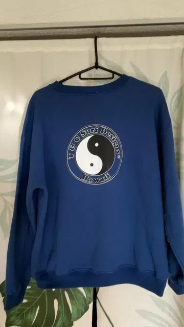 00s 타운앤컨트리 하와이