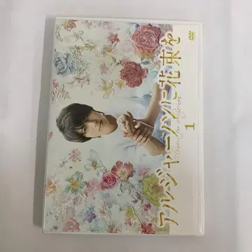 앨저넌에게 꽃다발을 렌탈판