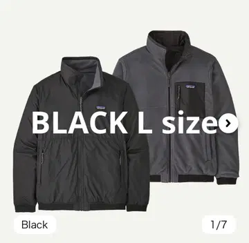 Patagonia 남성용 리버서블 쉘드 마이크로디니 자켓 L