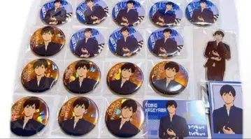 하이큐 카게야마 토비오 홀로캔 캔뱃지 아크릴 스탠드 특전 카드