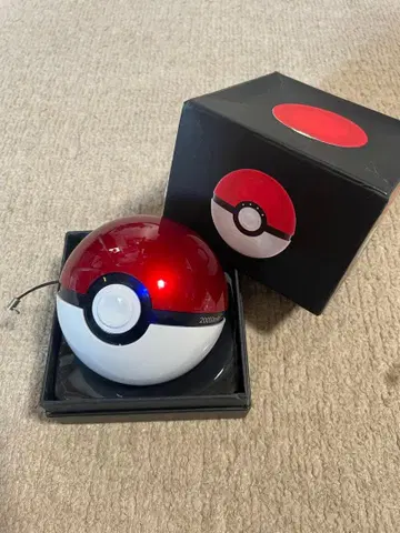 포켓몬 충전 몬스터볼 상세 불명