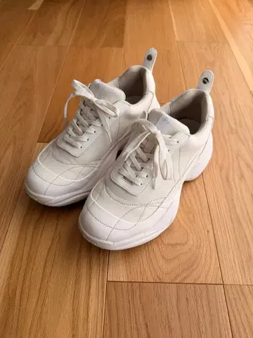 OAO SUNLIGHT(white) 26.5cm 방수 가공 있음