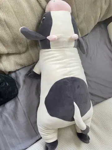소 모양의 봉제 인형
