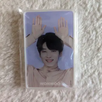 SEVENTEEN 원우 토끼 포즈 마그넷