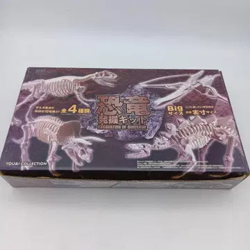 공룡 발굴 키트 Big 사이즈 EXCAVATION OF DINOSAUR
