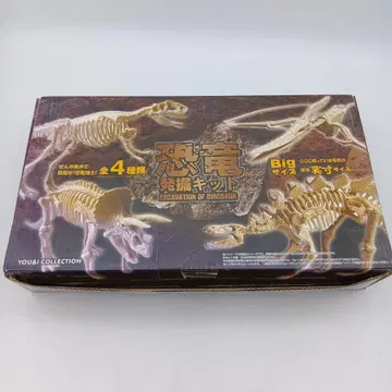 공룡 발굴 키트 Big 사이즈 EXCAVATION OF DINOSAUR