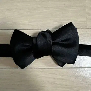 더 트리트 드레싱 신랑 잡화 나비 넥타이