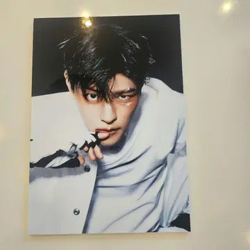 Straykids 스키즈 승민 HMV 당선 패널 KARMA