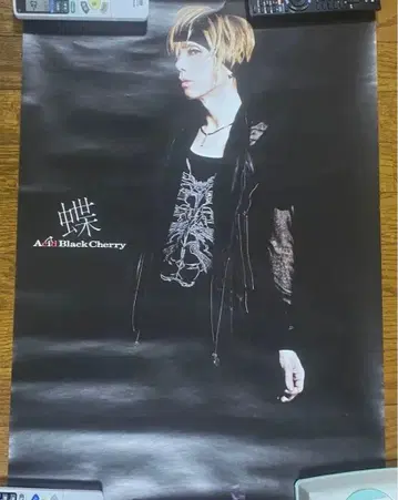 acidblackcherry 포스터 나비