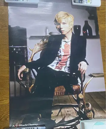 acidblackcherry 포스터 이스