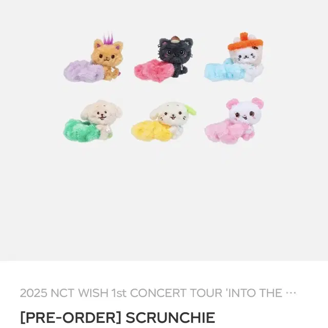 엔시티 위시 인투더위시 아워위시 스크런치 위츄 응원봉 캡 참 판매