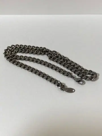 PHITEN 파이텐 체인 목걸이 (사진 포함)