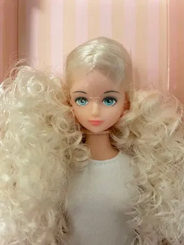 리카짱 캐슬 시온