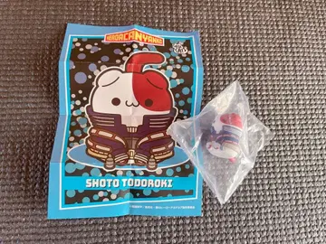 히로아카 토도로키 쇼토 숏 히로아카냥코 MEGACAT 피규어