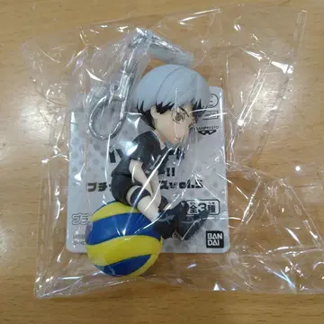 하이큐!! 푸칫토노리마스 vol.5 키타 신스케 키링