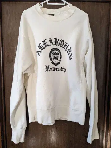 ALLAROUND 맨투맨 ( M )