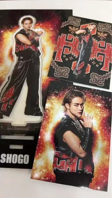 이와타니 쇼고 아크릴 스탠드 포토 카드