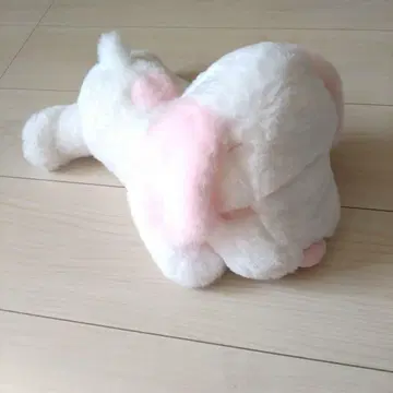 PEANUT 스누피 쿠탓토 컬러풀