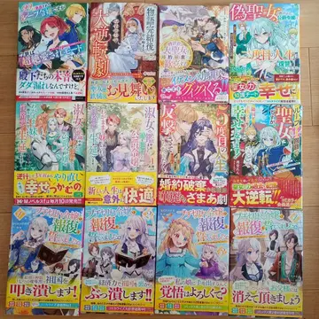 라이트 노벨 연애계 모음 판매 12권 세트 D