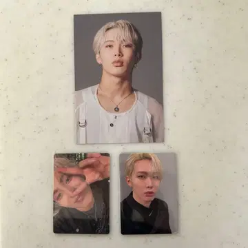 THE LAST PIECE RAIKI